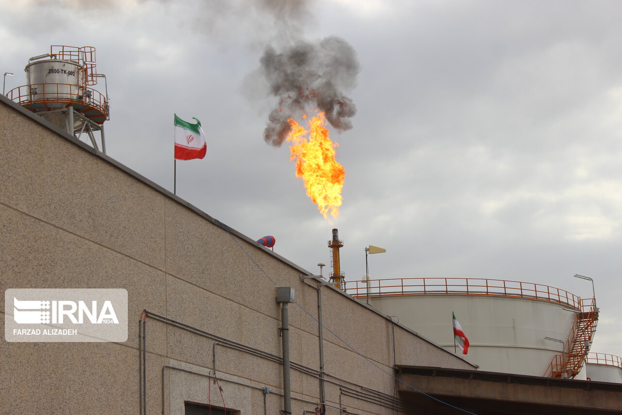 همکاری مشترک پژوهشگران دانشگاه شیراز و محققان خارجی در طرح‌های نفتی