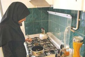 «زنان خانه دار» نقش «شرکت بهینه سازی انرژی» را بر عهده گرفتند